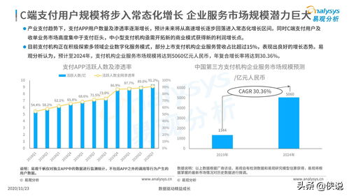 2020年中國產業(yè)支付數字化企業(yè)服務分析 技術賦能與生態(tài)重構